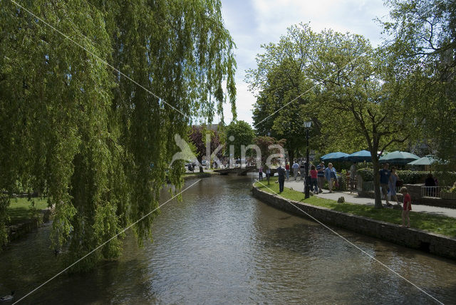 River Windrush