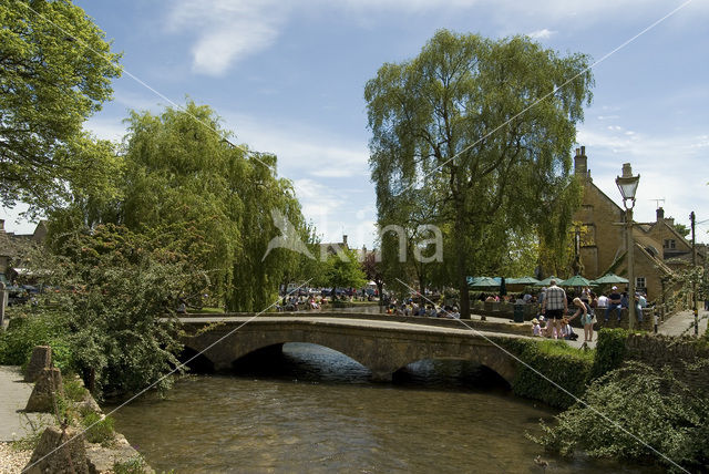 River Windrush