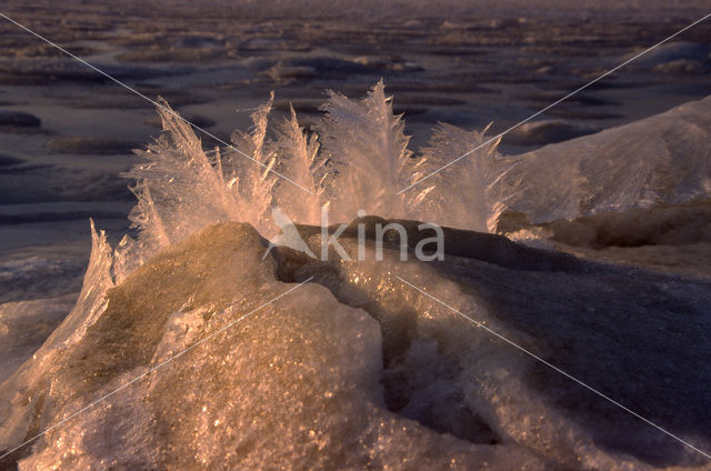 Waddenzee