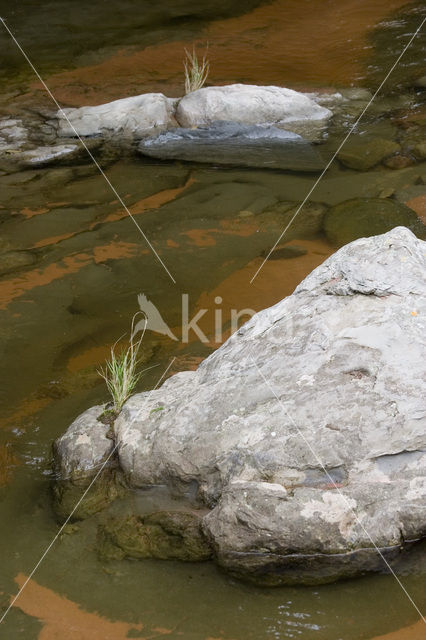 Amboro national park