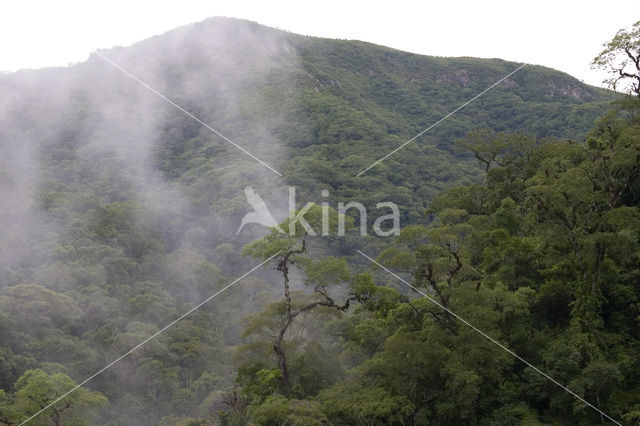 Amboro national park