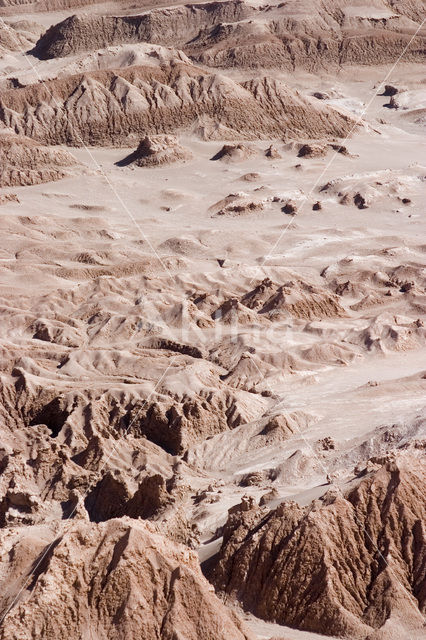 Atacama woestijn