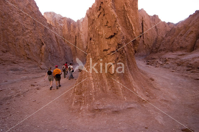 Atacama woestijn