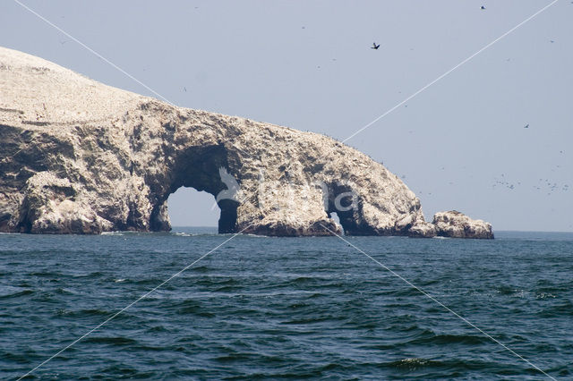 Ballestas eilanden