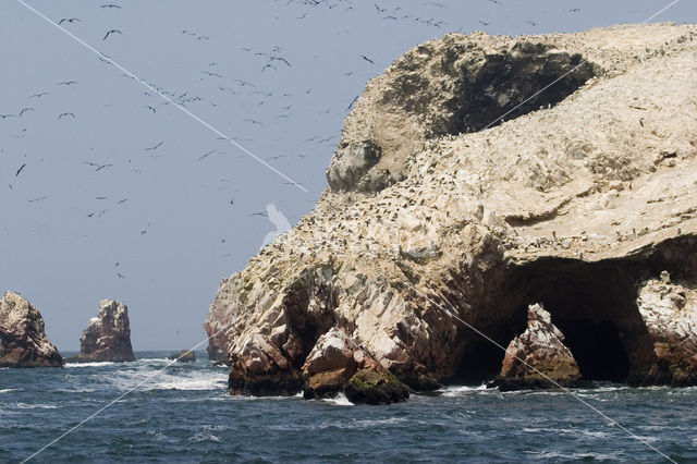 Ballestas eilanden