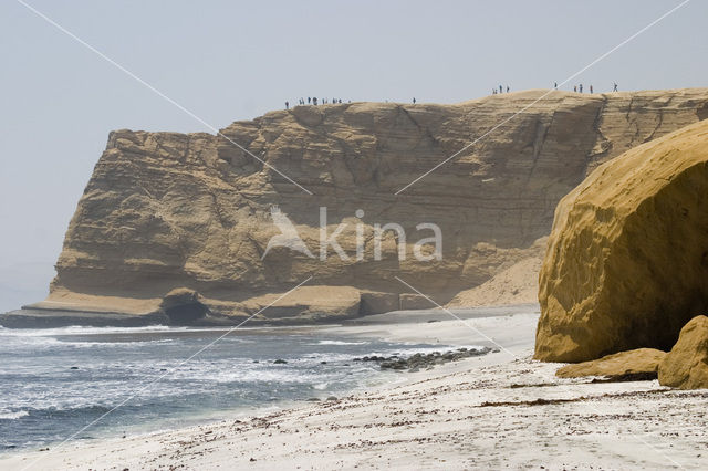 Ballestas eilanden