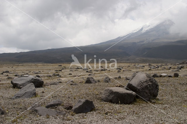 Cotopaxi vulkaan