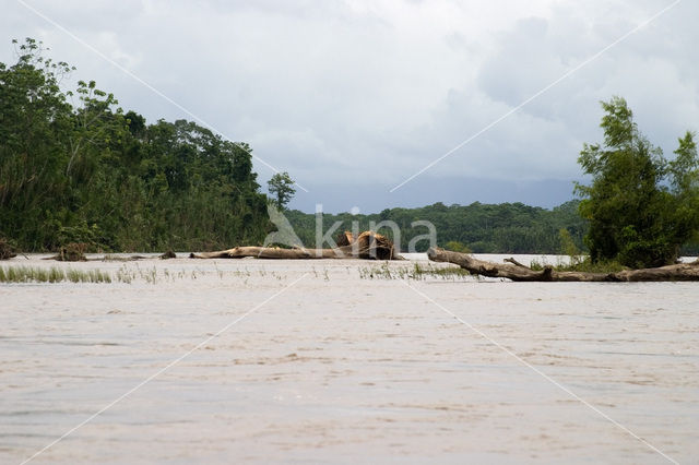 Madidi national park