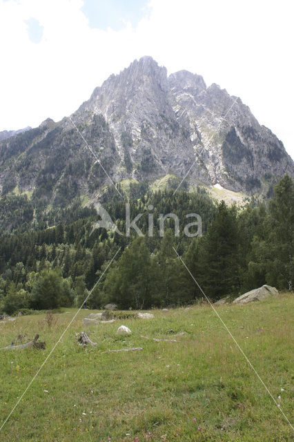 Parque Nacional dAigüestortes i Estany de Sant Maurici