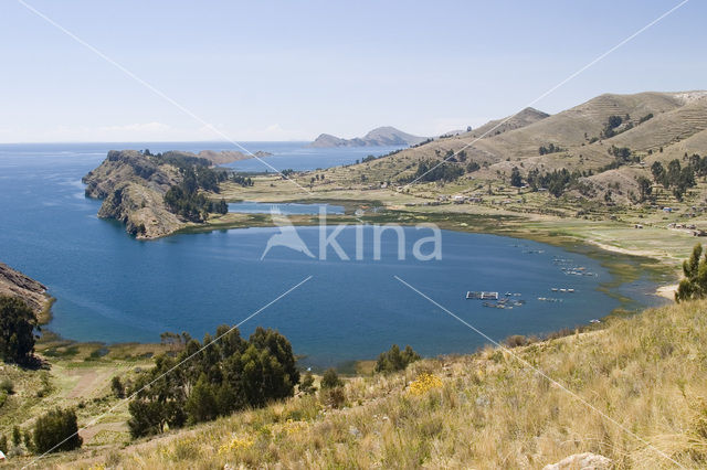 Titicaca meer