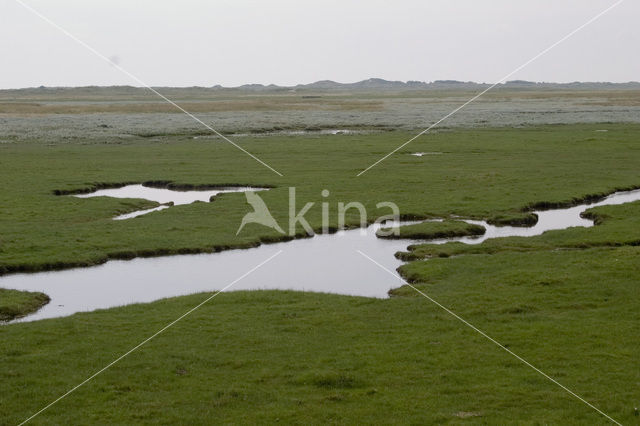 Ameland