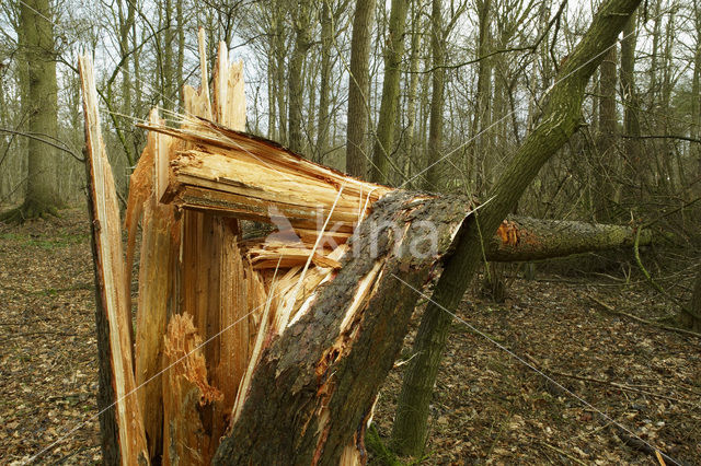 De Mortelen en Heerenbeek