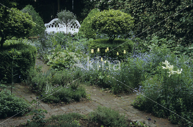 Garten Krautwig