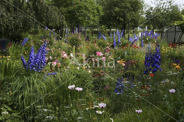 Garten Stenkamp