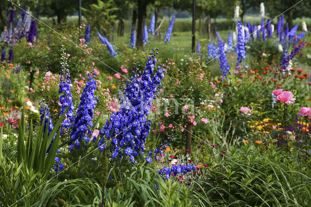 Garten Stenkamp