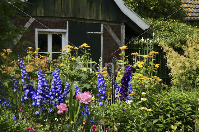 Garten Stenkamp