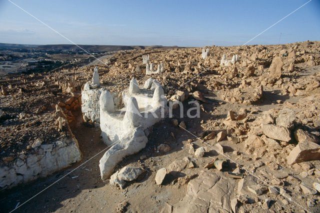 Ghardaia