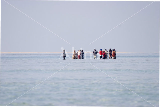 Ilha do Paraiso