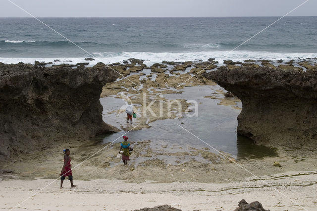 Indian Ocean