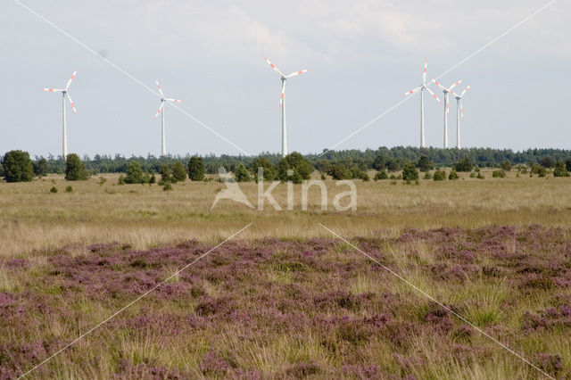 Internationaler Naturpark Bourtanger Moor-Bargerveen