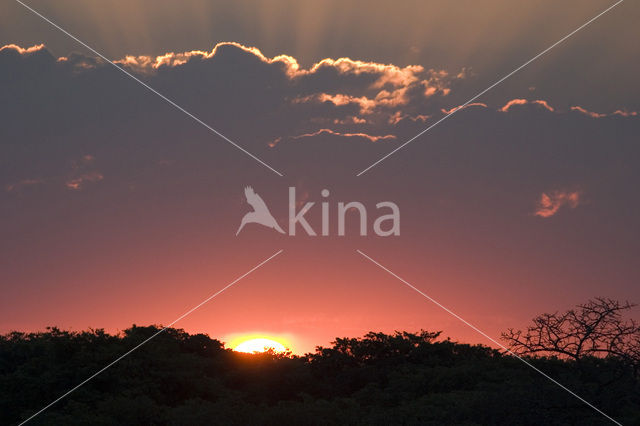 Kruger National Park