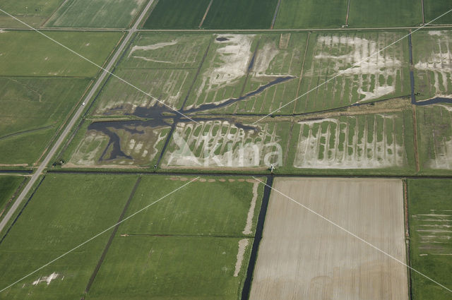 Lage land van Texel