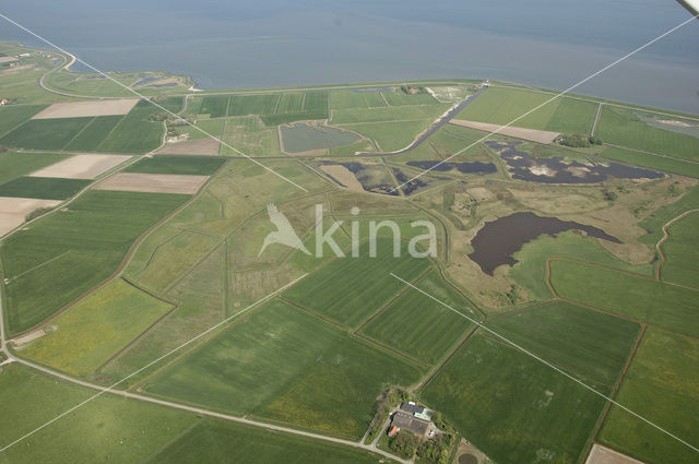 Lage land van Texel