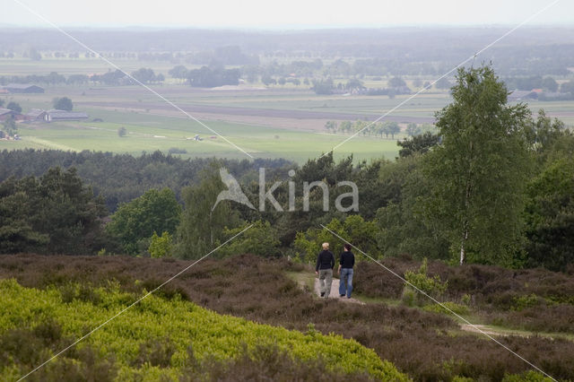 Lemelerberg en Archemerberg