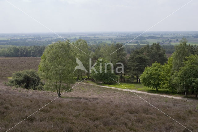 Lemelerberg en Archemerberg