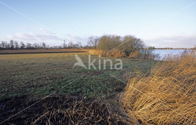 Nationaal Park De Alde Feanen