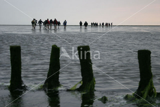 Nationaal Park Lauwersmeer