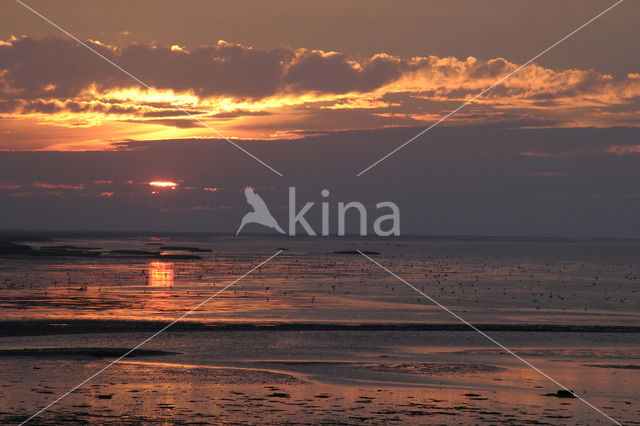 National Park Schiermonnikoog