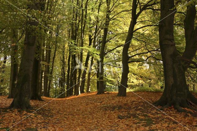 Nationaal Park Veluwezoom