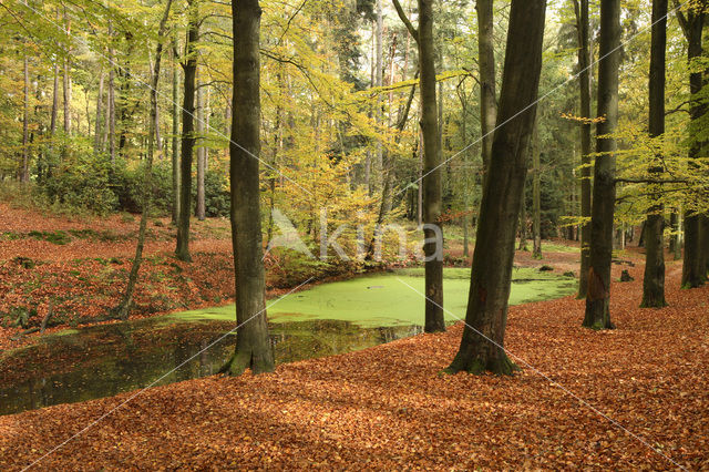 Nationaal Park Veluwezoom