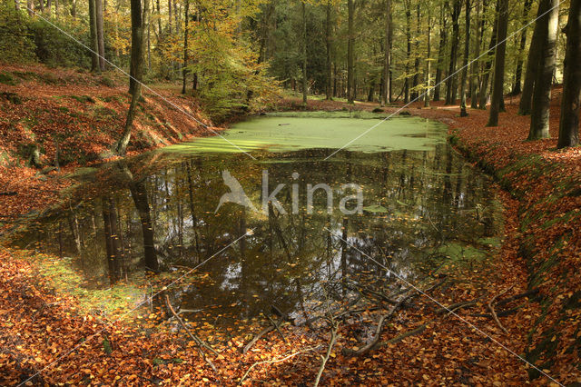 Nationaal Park Veluwezoom