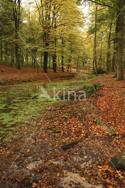 Nationaal Park Veluwezoom