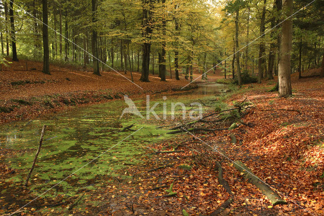 Nationaal Park Veluwezoom