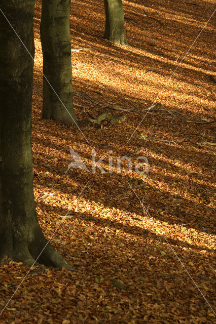 Nationaal Park Veluwezoom