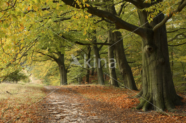 Nationaal Park Veluwezoom