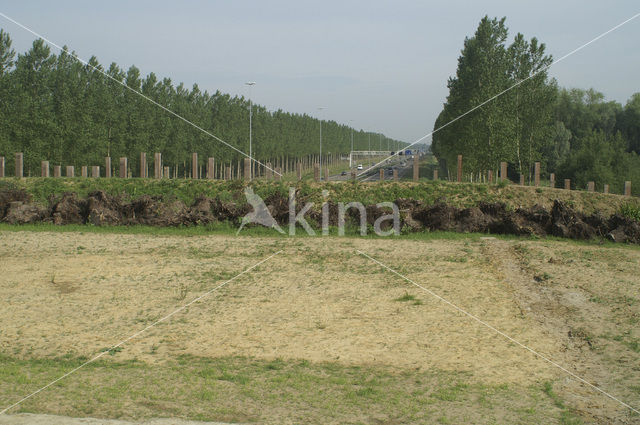 Natuurbrug Het Groene Woud