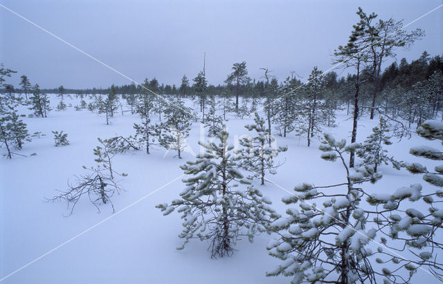 Noord-Österbotten