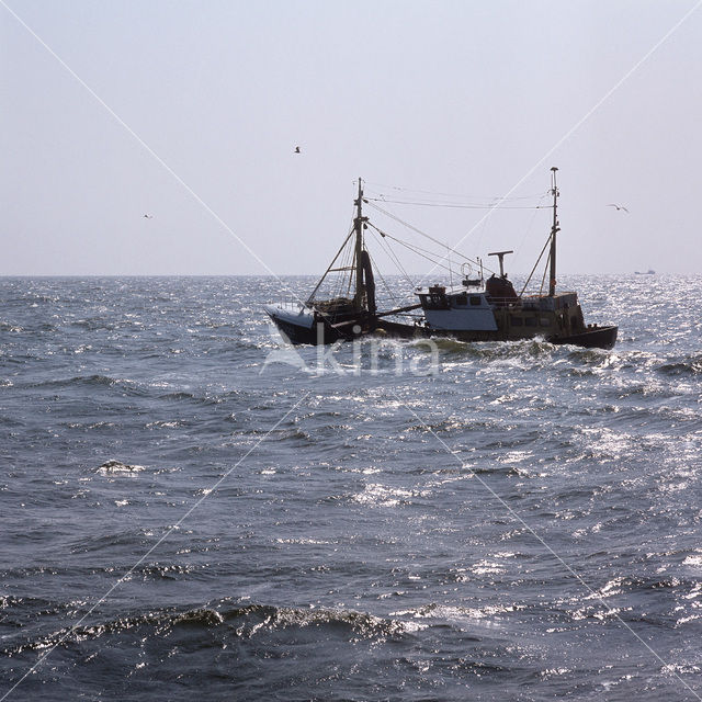 Noordzee