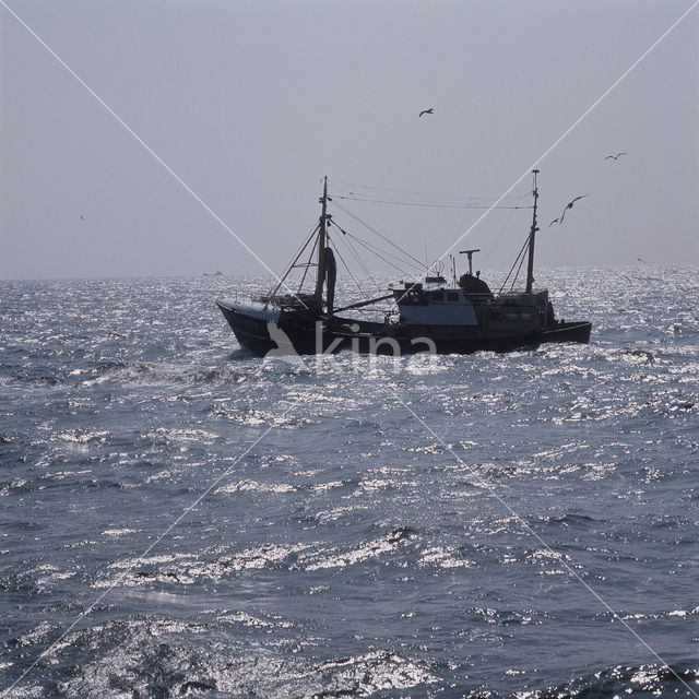 Noordzee