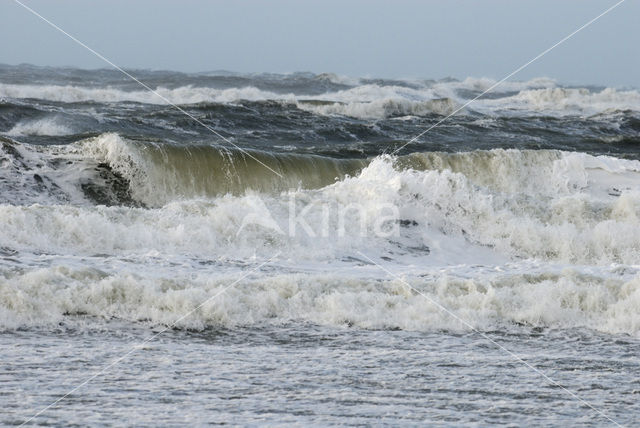 Noordzee