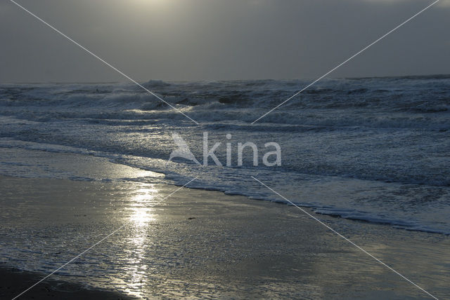 Noordzee