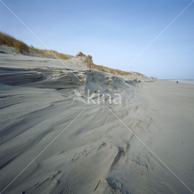 Noordzeestrand