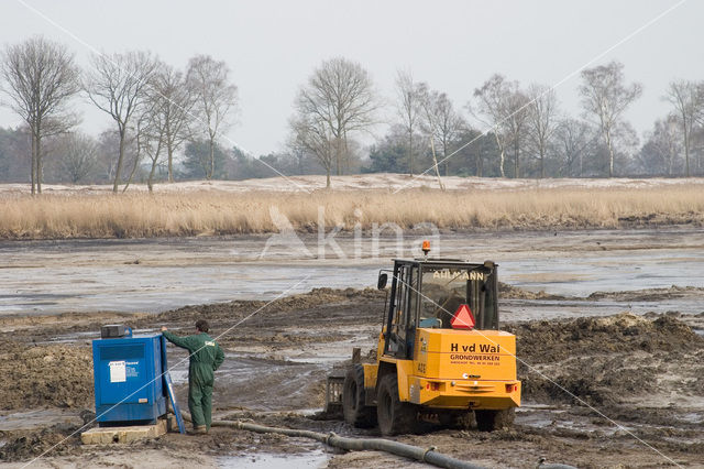 Oisterwijkse Bossen en Vennen