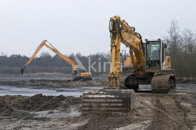 Oisterwijkse Bossen en Vennen