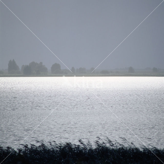 Oostvaardersplassen