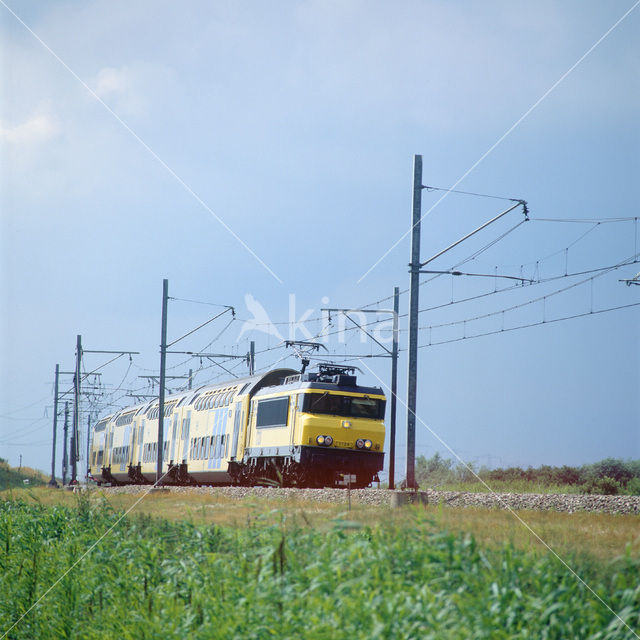 Oostvaardersplassen